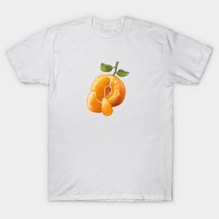 Florida Orange T-Shirt